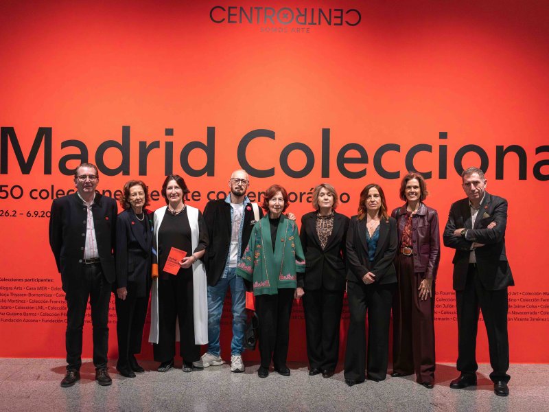 Madrid Colecciona. 50 Colecciones de arte contemporáneo